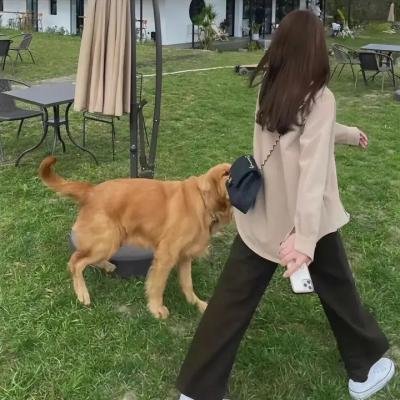 史酷比：法兰克吓人精