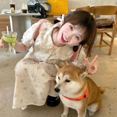 青鸟